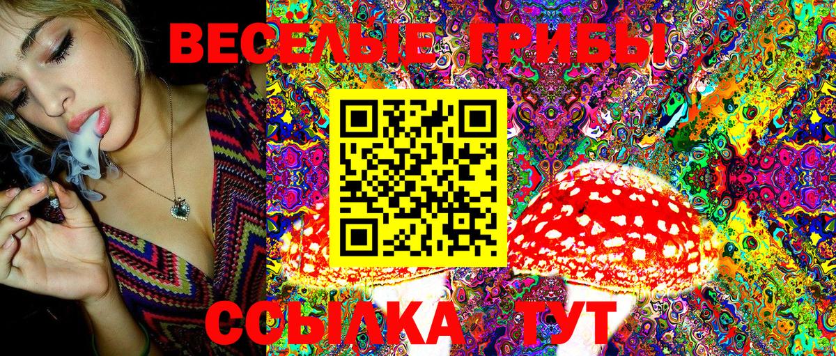 Галлюциногенные грибы Magic Shrooms Скопин